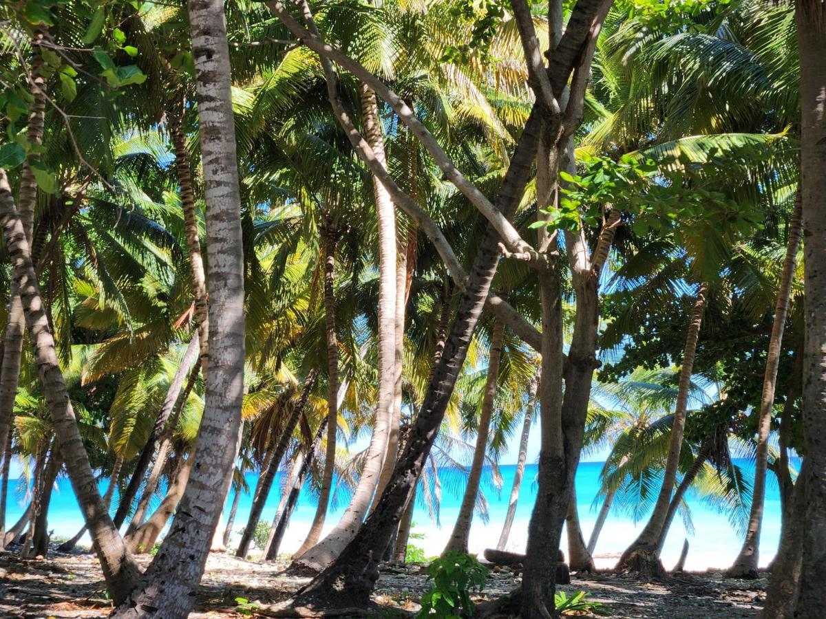 Beachfront Apartment, Quiet 4 Beds, 1 Bath, Ac, Wi-Fi, Hot Water, In Paraiso Near Los Patos Exteriér fotografie