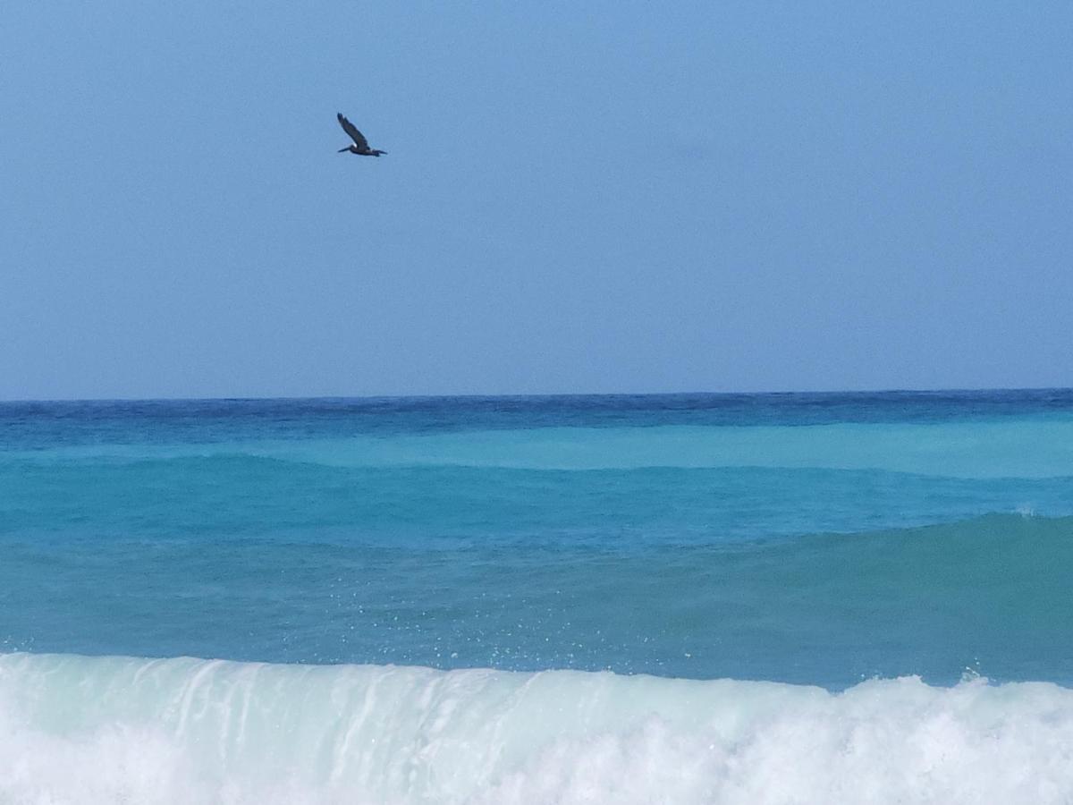 Beachfront Apartment, Quiet 4 Beds, 1 Bath, Ac, Wi-Fi, Hot Water, In Paraiso Near Los Patos Exteriér fotografie